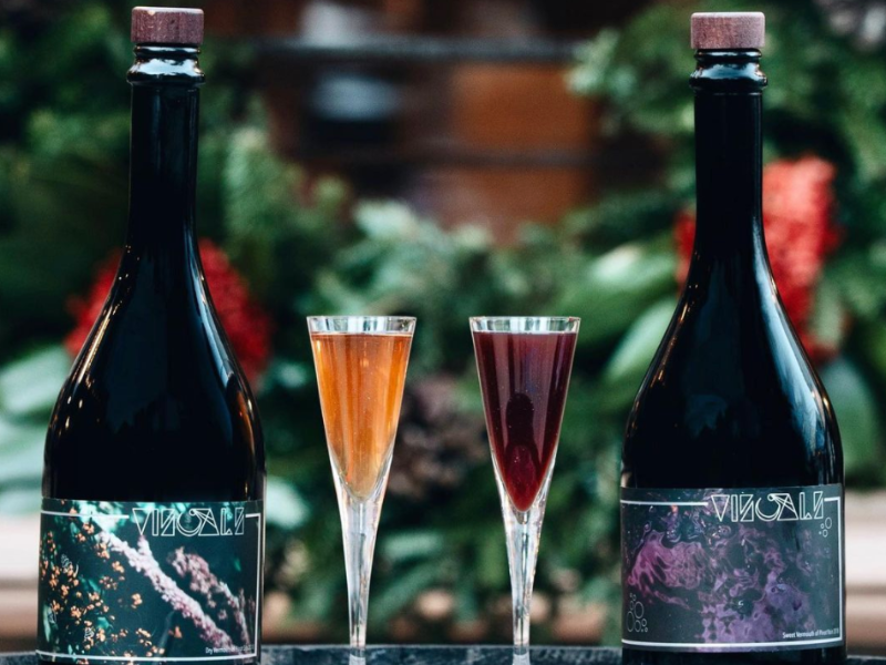 visuals winery
